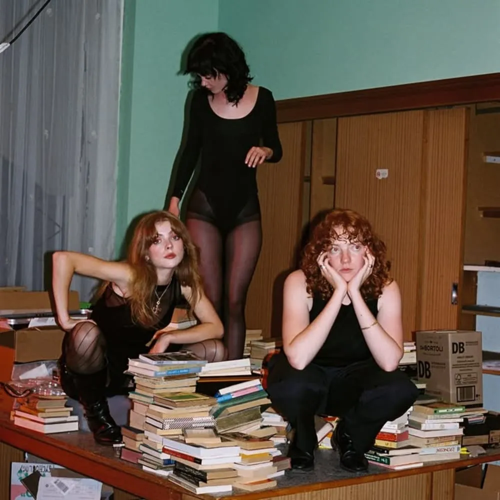Folk Bitch Trio